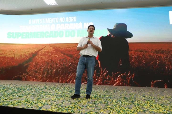 conectividade ari dias