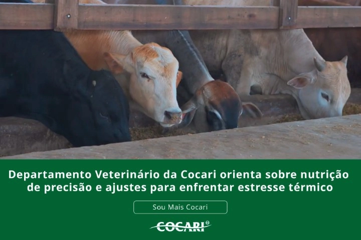 cocari