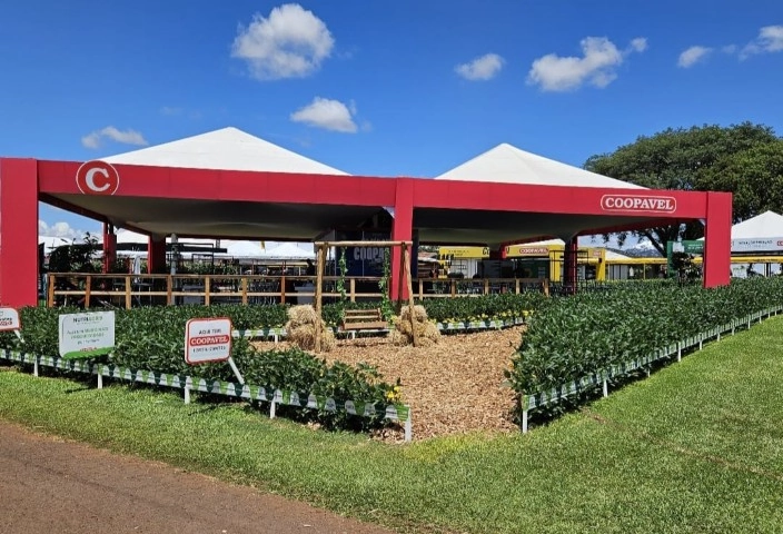 show rural
