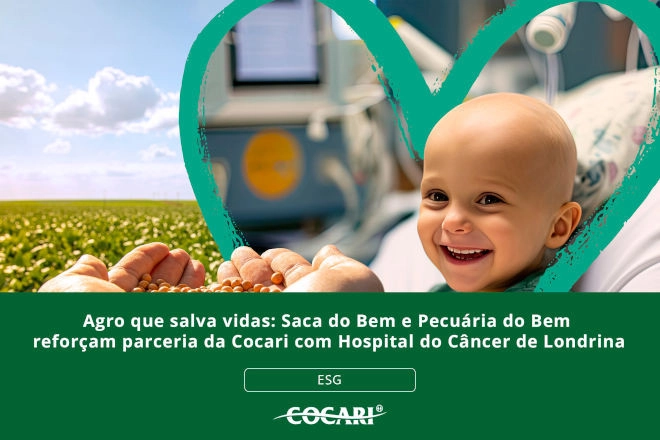 cocari 19 02 2026