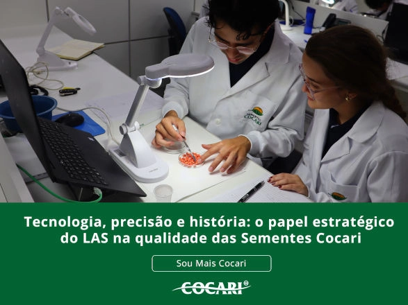 cocari 20 02 2026