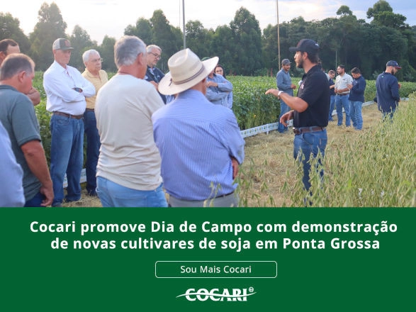 cocari I 27 02 2026