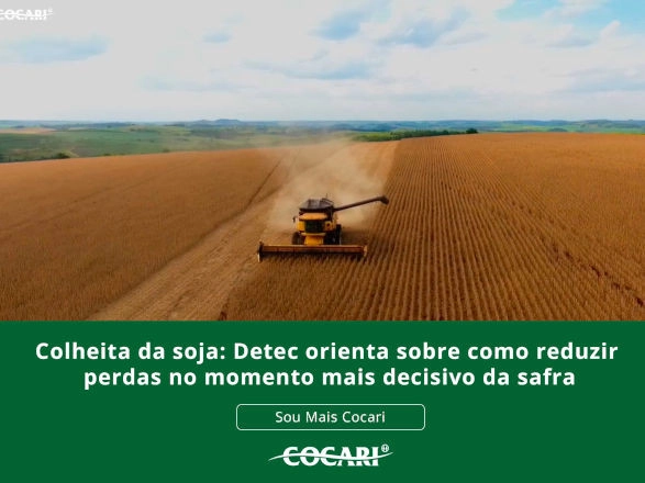 cocari 02 03 2026