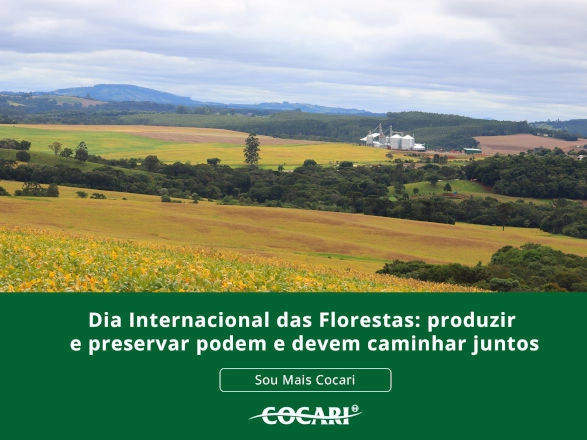 cocari 19 03 2026
