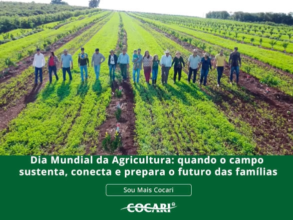 cocari 20 03 2026