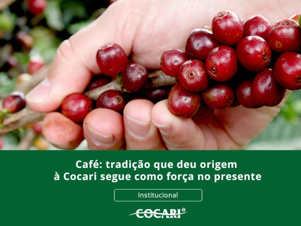 cocari 14 04 2026