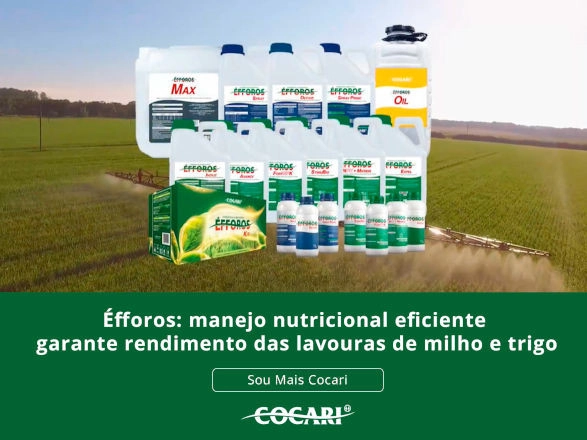 cocari 20 04 2026
