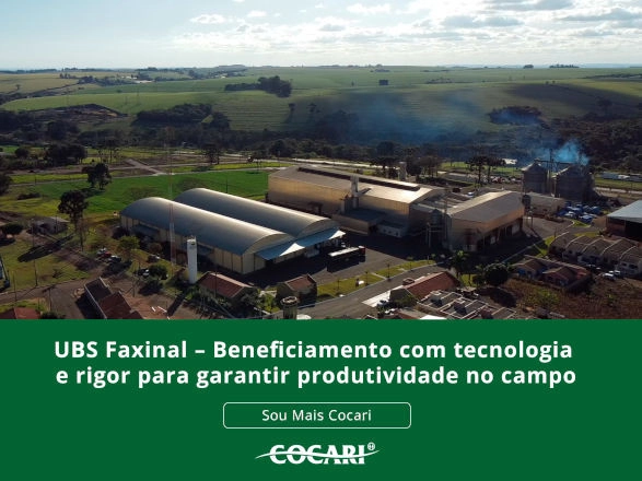 cocari 15 05 2026