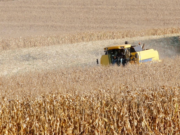 conjuntura agro 15 05 2026