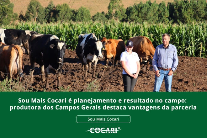 cocari I 22 05 2025