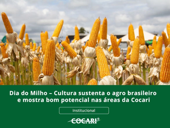 cocari II 22 05 2026