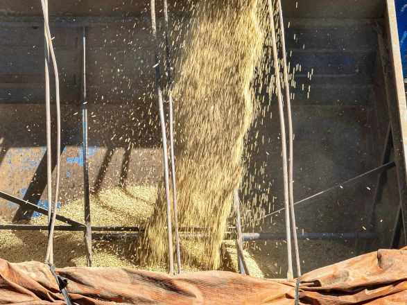 conjuntura agro 22 05 2026