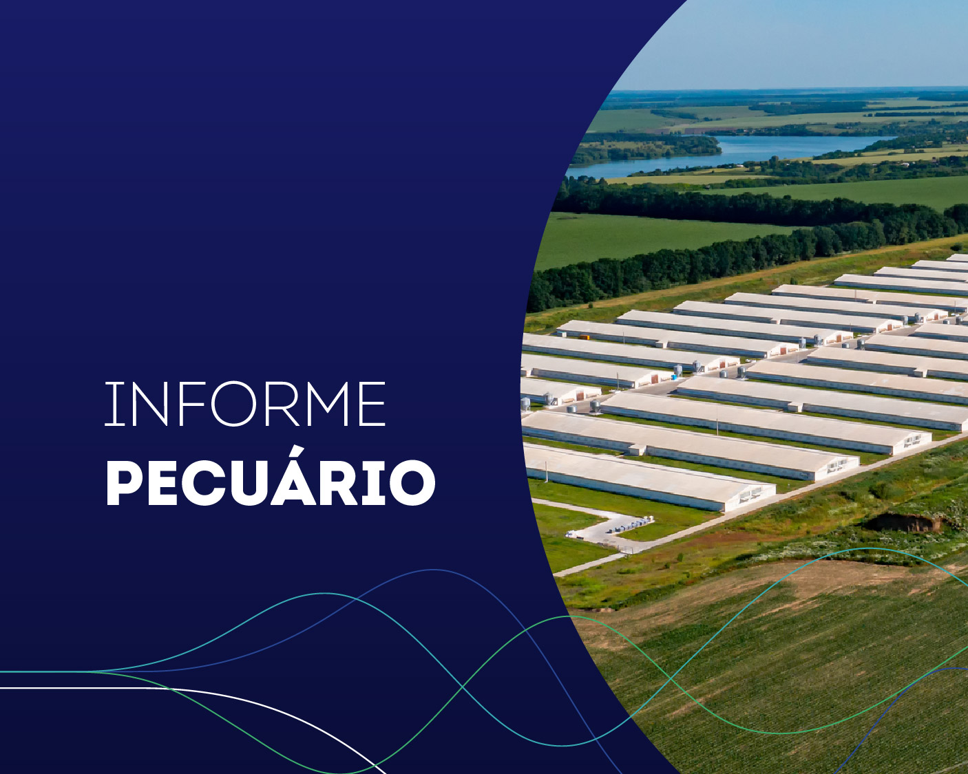 IP - nº 01 - Indicadores da Pecuária - Fevereiro.2026