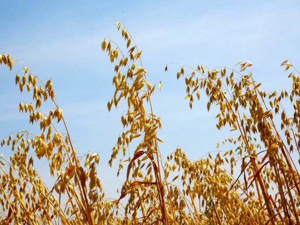 Governo do Estado recebe propostas para seguro rural em culturas de inverno