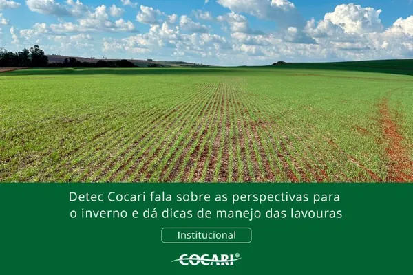 Detec Cocari fala sobre as perspectivas para o inverno e dá dicas de manejo das lavouras