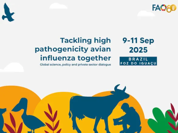 Gripe aviária será tema de evento global da FAO em Foz do Iguaçu