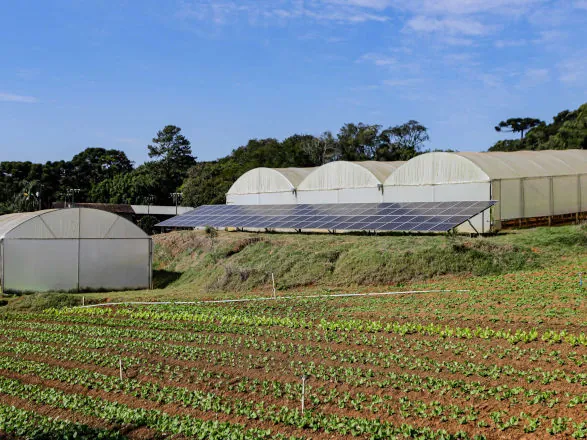 Paraná alcança marca de 1 gigawatt de energia em geração distribuída no meio rural