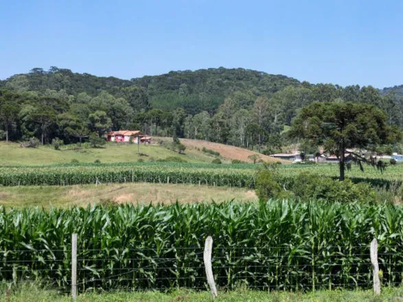 Nova lei prorroga até 2030 prazo para regularização de imóveis na fronteira