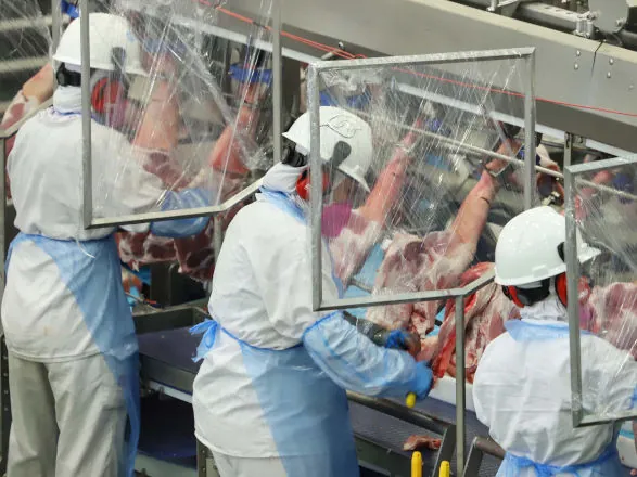 Exportações de carne suína alcançam maior volume mensal da história