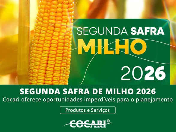 Cocari oferece oportunidades para o planejamento da segunda safra de milho 2026