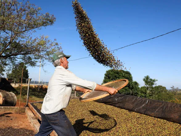 Café e soja garantem as maiores margens do ano para produtores paranaenses, aponta Deral