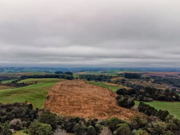IAT regulamenta licenciamento ambiental para atividades agrícolas de baixo impacto poluidor