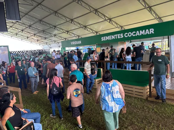 Balcão Premiado de Negócios é um grande sucesso no Safratec 