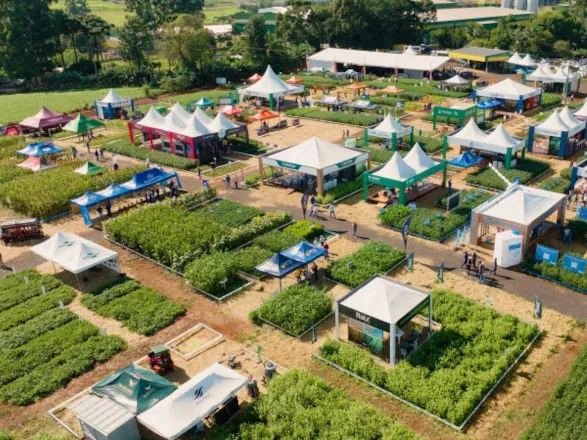 Dia de Campo de Verão será realizado nesta semana