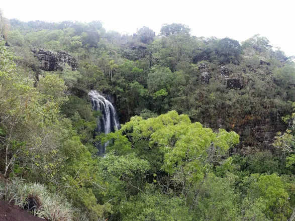 Fundo Verde do BRDE destinará R$ 3,5 milhões a projetos paranaenses de sustentabilidade