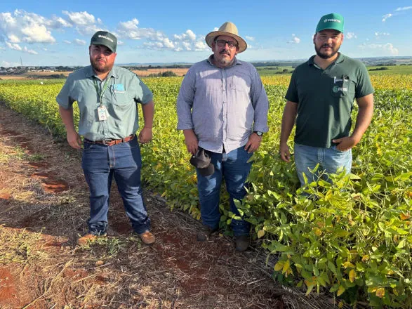 Produtos Cocamar impulsionam produtividade e eficiência na pecuária em São Jerônimo da Serra