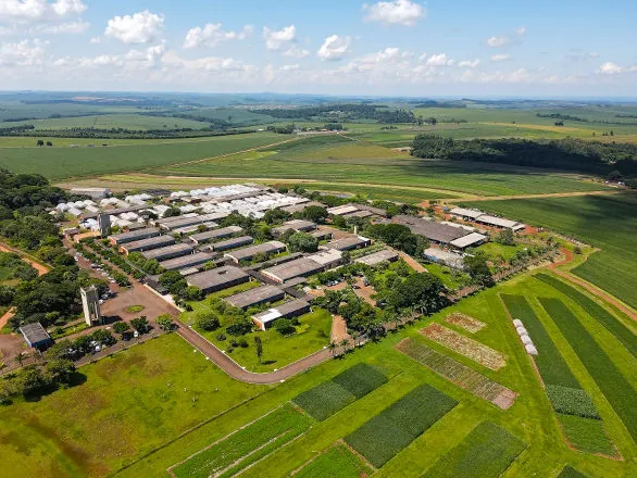 Dia de Campo de Verão na Embrapa Soja traz inovações ao sistema produtivo
