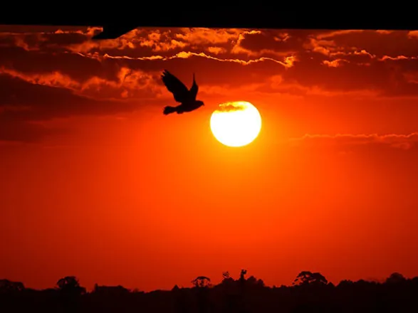 Com La Niña, verão 2025/2026 foi marcado por chuvas irregulares e temperatura de 39,7°C