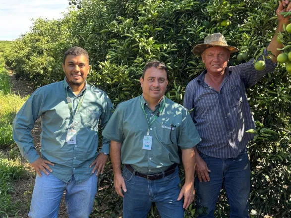 Rally Cocamar: baixas cotações e avanço do greening preocupam citricultores 
