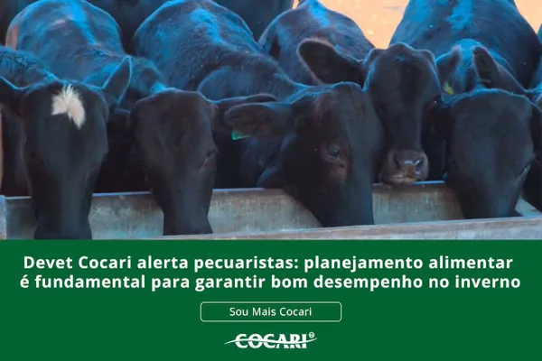 Devet Cocari alerta pecuaristas: planejamento alimentar é fundamental para garantir bom desempenho no inverno