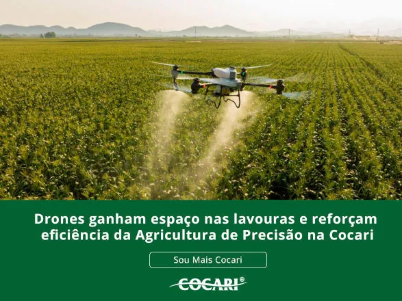 Drones ganham espaço nas lavouras e reforçam eficiência da agricultura de precisão na Cocari