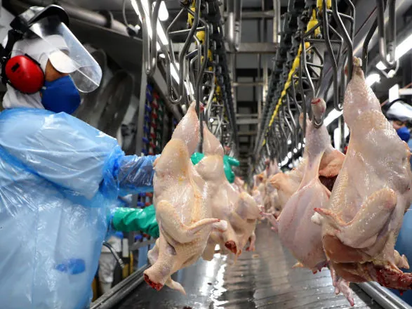 Perto do bilhão: vendas de empresas do Paraná para outros estados crescem 211% em sete anos