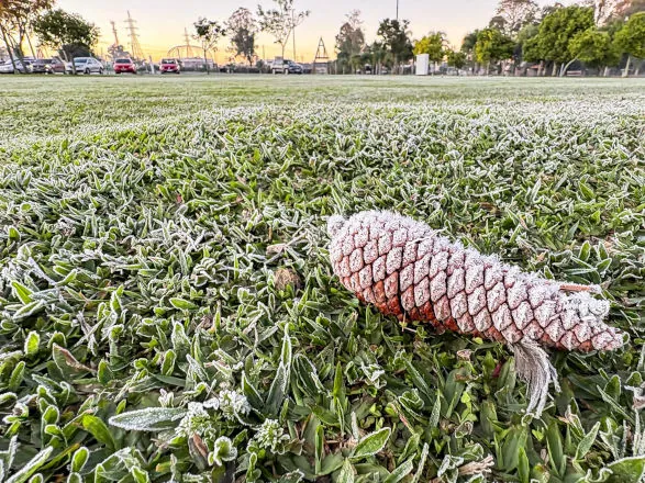 Sinais de inverno: maio terá frentes frias, geada e temperaturas abaixo de 10°C