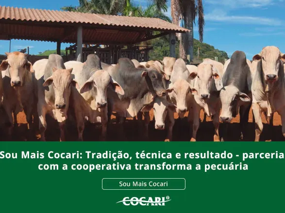 Sou Mais Cocari: Tradição, técnica e resultado - parceria com a cooperativa transforma a pecuária