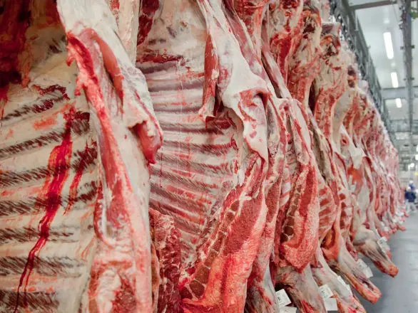 Governo promete reverter veto da UE a carnes e animais brasileiros