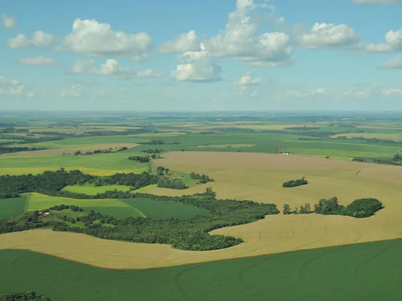 Sistema Ocepar promove reunião sobre Cadastro Ambiental Rural (CAR) nesta terça-feira